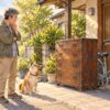 玄関先のタンスと自転車を前に、出し方を考える男性と犬